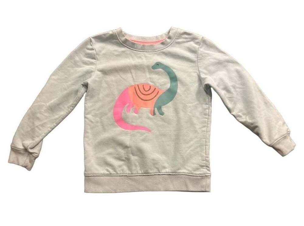 Cat & Jack Dinosaur Graphic Sweatshirt Size 4T Aqua Blue